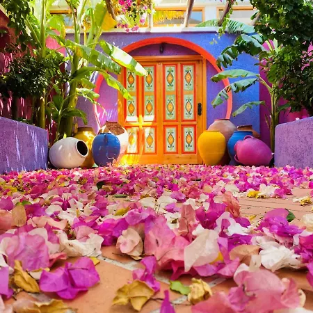 Casa De Nova Ξενοδοχείο *