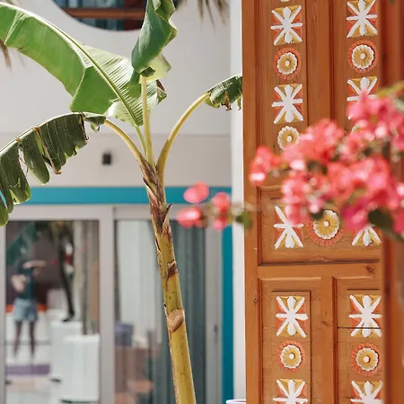 Casa De Nova גומבט