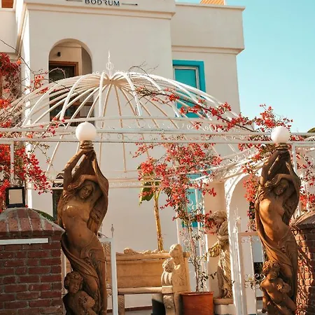 Hotel Casa De Nova *