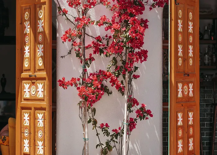 Casa De Nova * غومْبيت