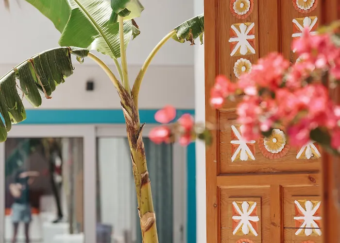 Casa De Nova غومْبيت